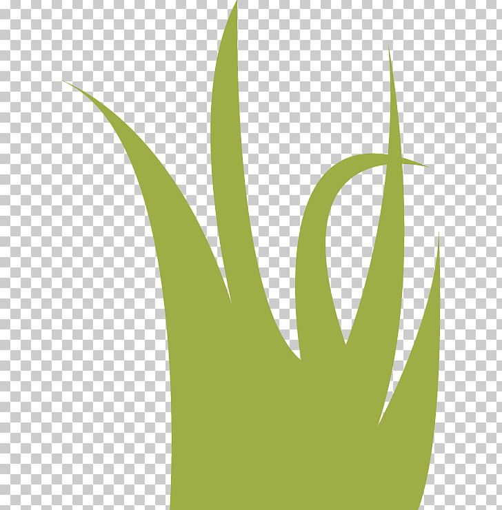 Leaf Logo Grasses PNG, Clipart, Family, Grass, Grasses, Grass Family, Green Free PNG Download