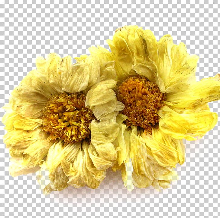 Chrysanthemum Xd7grandiflorum Chrysanthemum Indicum Chrysanthemum Tea Dendranthema Lavandulifolium PNG, Clipart, Artificial Flower, Chrysanthemum Chrysanthemum, Color, Daisy Family, Flower Arranging Free PNG Download