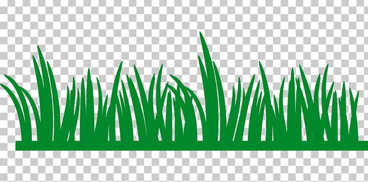 Lawn PNG, Clipart, Commodity, Download, Drawing, Grass, Grass Family Free PNG Download