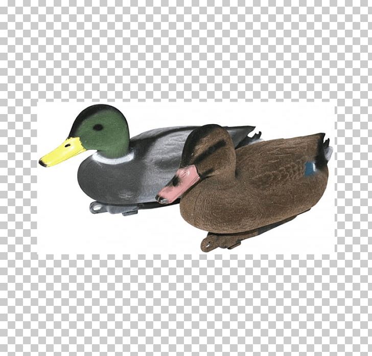 Mallard Duck Decoy Bird PNG, Clipart, Animals, Beak, Bird, Decoy, Duck Free PNG Download