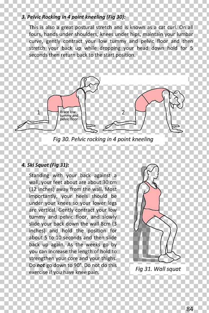 Pelvic Floor Kegel Exercise Abdominal Exercise Stretching PNG, Clipart, Abdomen, Angle, Arm, Art, Cartoon Free PNG Download