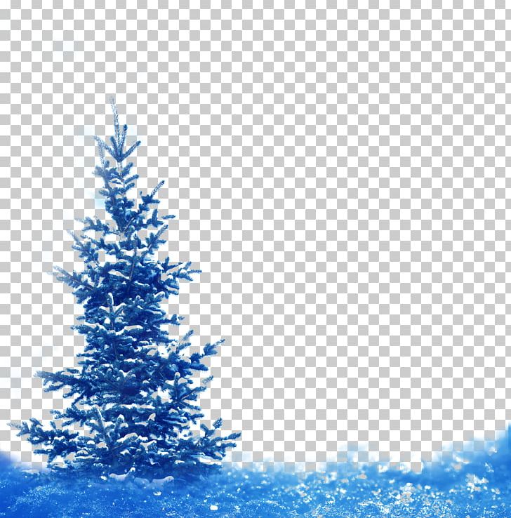 Spruce Fir Winter Snow Landscape PNG, Clipart, Blue, Blue Background, Blue Dream, Blue Flower, Blue Snowflake Free PNG Download