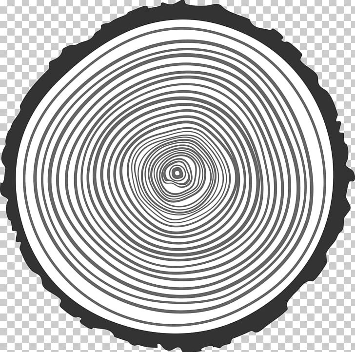 Tree Aastarxf5ngad Wood Illustration PNG, Clipart, Aastarxf5ngad, Ancient, Annual Ring, Bark, Black And White Free PNG Download