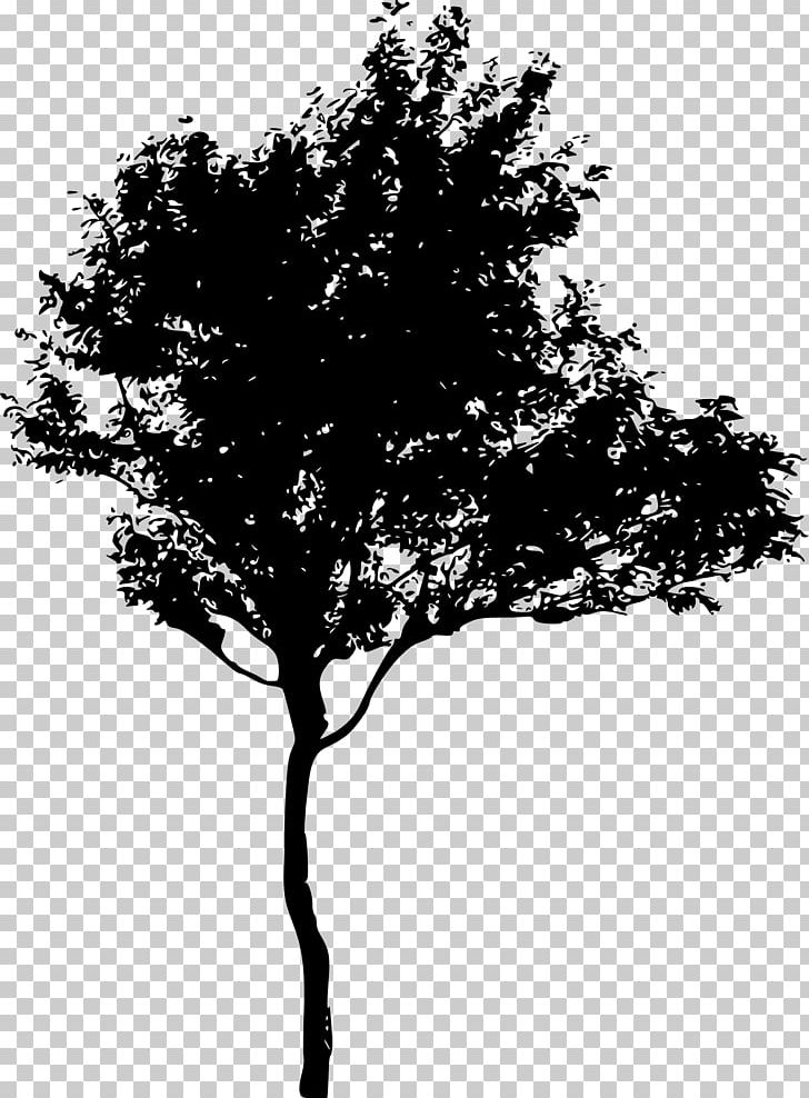 Tree Silhouette Drawing PNG, Clipart, Art, Black And White, Branch, Drawing, Leaf Free PNG Download
