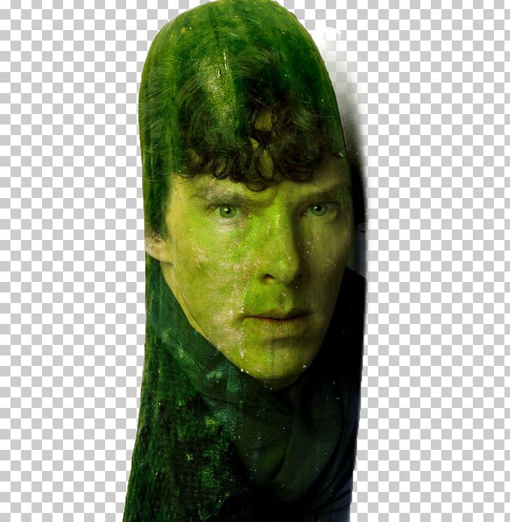 Benedict Cumberbatch Sherlock Smaug Cucumber PNG, Clipart, Benedict Cumberbatch, Blog, Cucumber, Face, Green Free PNG Download