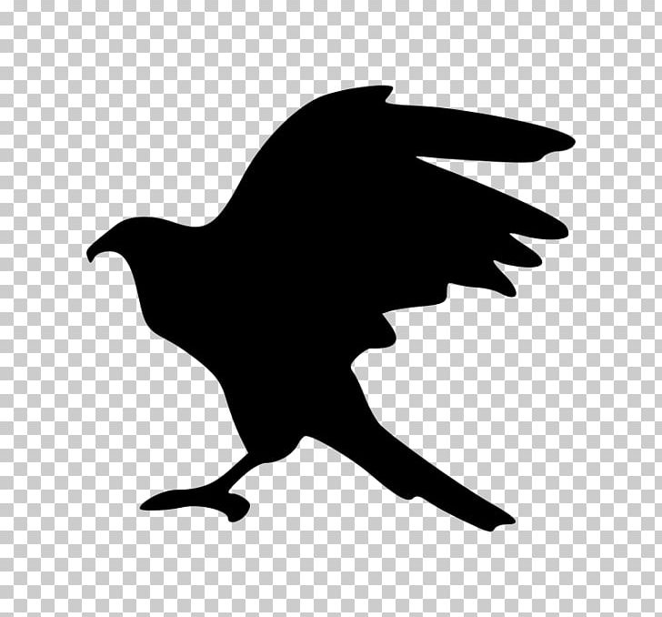 Bird Hawk Silhouette PNG, Clipart, Animals, Art, Bald Eagle, Beak, Bird Free PNG Download
