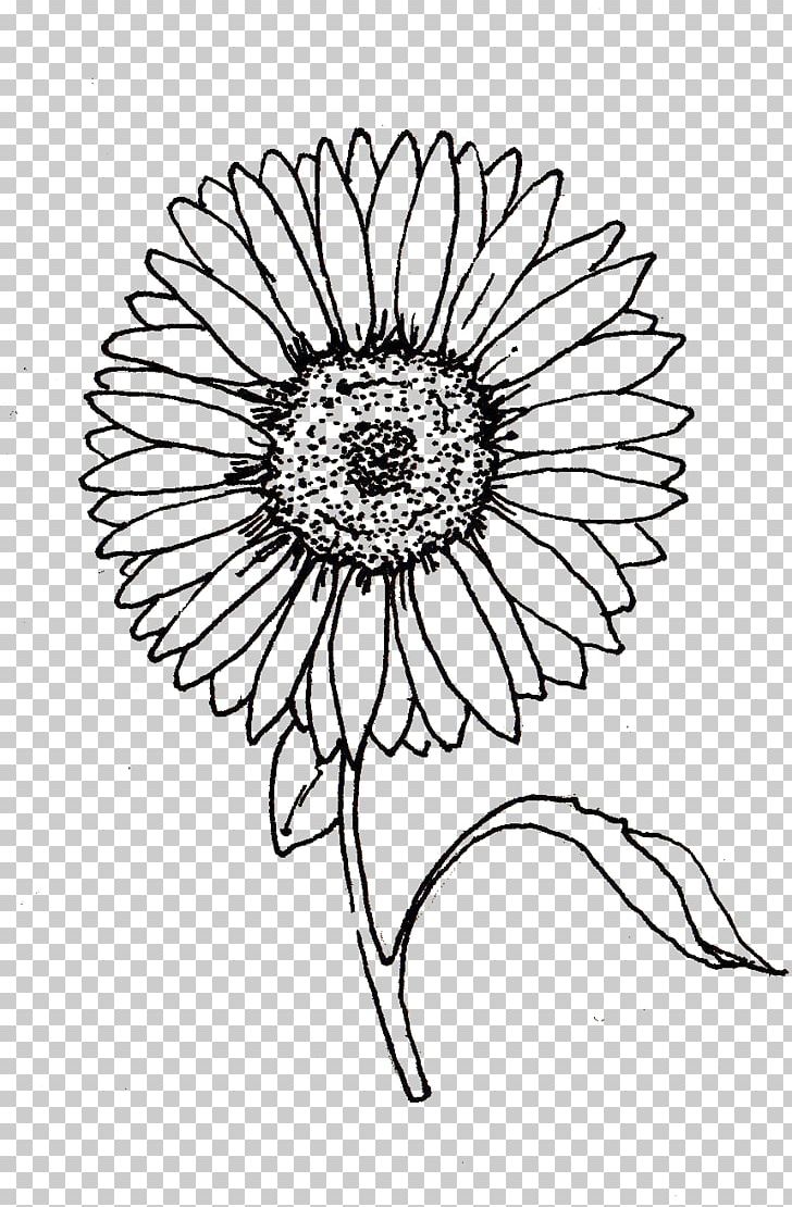 Drawing Line Art Visual Arts PNG, Clipart, Art, Artwork, Black And White, Circle, Cut Flowers Free PNG Download