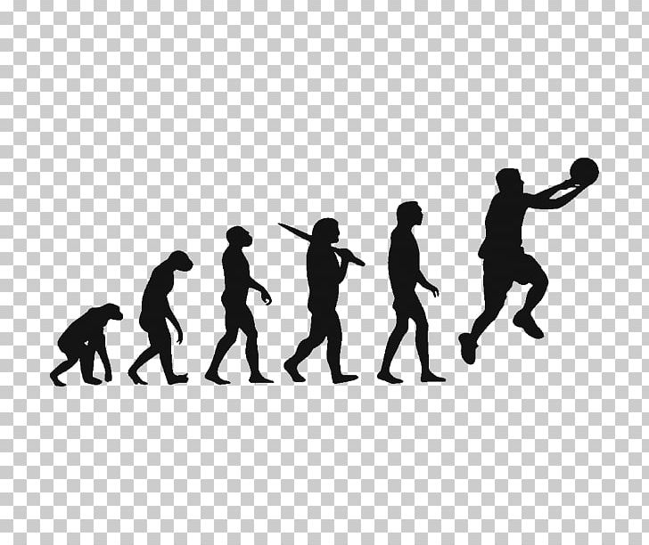 T-shirt Human Evolution Homo Sapiens Biology PNG, Clipart, Biologist, Biology, Black, Clothing, Evolution Free PNG Download