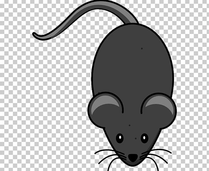 Computer Mouse Tail PNG, Clipart, Black, Black And White, Carnivoran,  Cartoon, Cat Free PNG Download