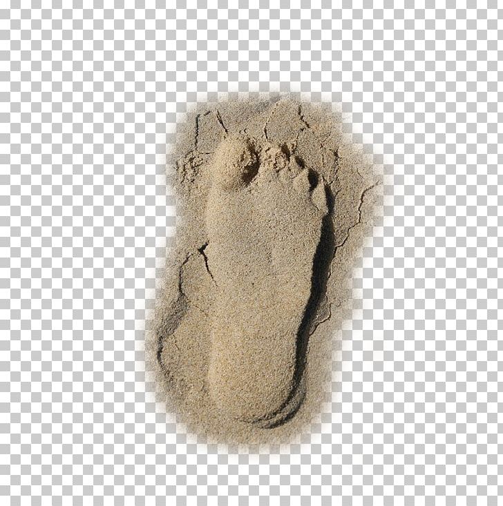 Beach Sand Footprint PNG, Clipart, Adobe Illustrator, Beach, Beaches, Beach Footprints, Beach Party Free PNG Download