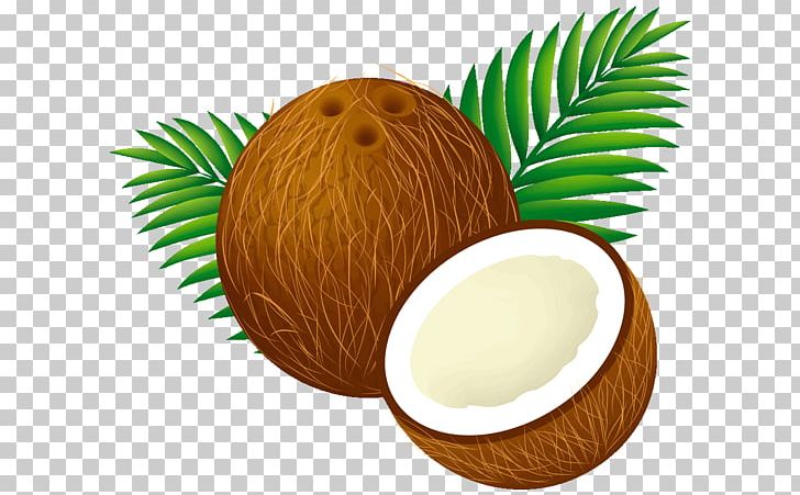 Coconut Water Coconut Milk Coconut Cake PNG, Clipart, Arecaceae, Coconut, Coconut Cake, Coconut Leaf, Coconut Milk Free PNG Download
