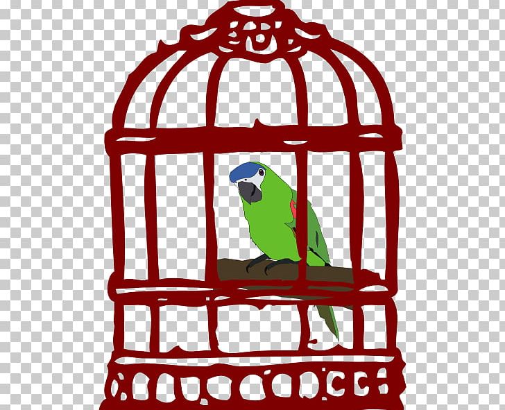 Parrot Birdcage Cartoon PNG, Clipart, Area, Artwork, Beak, Bird, Birdcage Free PNG Download