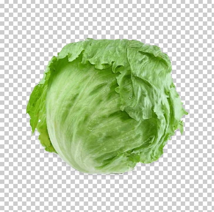 Romaine Lettuce Iceberg Lettuce Vegetable Salad Rijk Zwaan PNG, Clipart, Cabbage, Cauliflower, Food, Fruit, Greens Free PNG Download