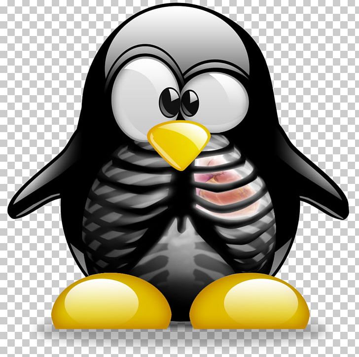 Tuxedo Penguin Arch Linux PNG, Clipart, Arch Linux, Beak, Bird, Computer Software, Flightless Bird Free PNG Download