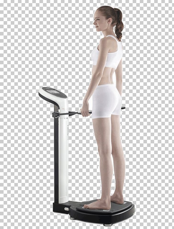 Body Composition InBody Bioelectrical Impedance Analysis Measurement Adipose Tissue PNG, Clipart, Abdomen, Adipose Tissue, Arm, Balance, Bioelectrical Impedance Analysis Free PNG Download