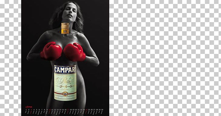 Campari Distilled Beverage Liqueur Alcoholic Drink Wine PNG, Clipart, 2001, Accommodation, Alcohol, Alcoholic Drink, Beer Bottle Free PNG Download