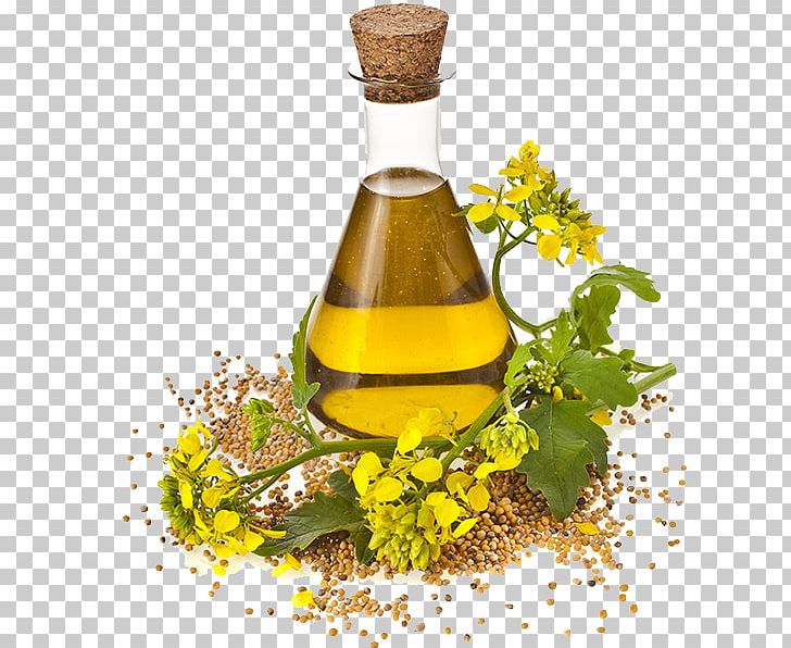 Canola Cooking Oils Rapeseed Seed Oil PNG, Clipart, Alternative Medicine, Canola, Colza Oil, Cooking Oil, Cooking Oils Free PNG Download