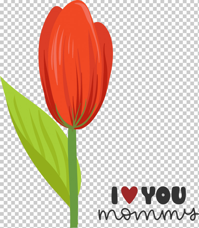 Plant Stem Cut Flowers M-095 Tulip Flower PNG, Clipart, Biology, Cut Flowers, Flower, Heart, M095 Free PNG Download