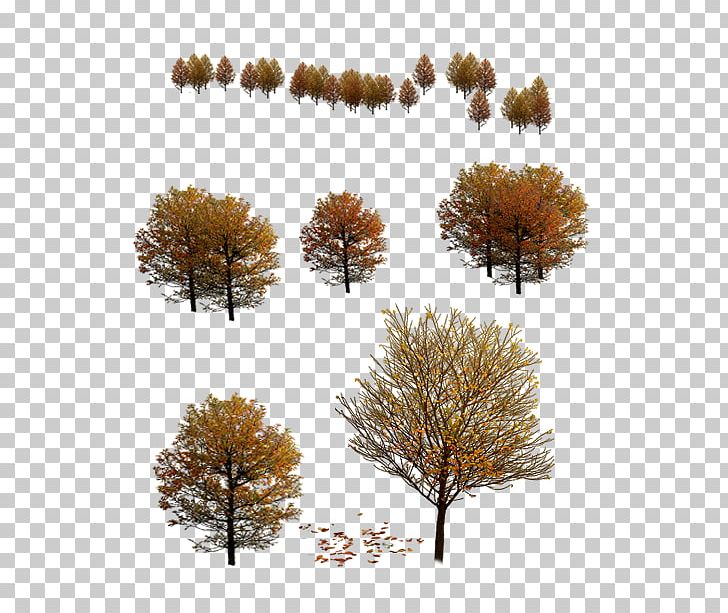 Tree 3D Modeling Autumn PNG, Clipart, 3d Modeling, Autumn, Autumn Tree, Background Material, Branch Free PNG Download
