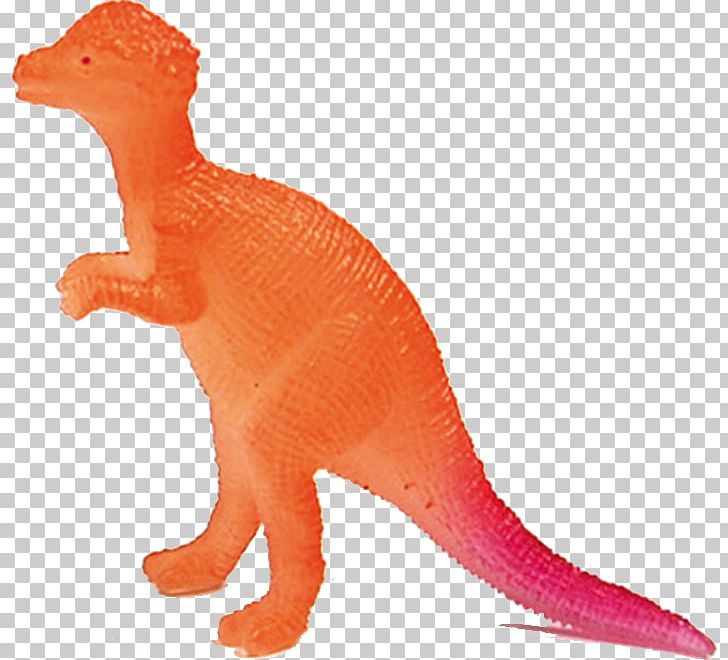 Tyrannosaurus Pachycephalosaurus Velociraptor Paleontology Terrestrial Animal PNG, Clipart, Animal, Dinosaur, Miscellaneous, Orange, Orange Sa Free PNG Download