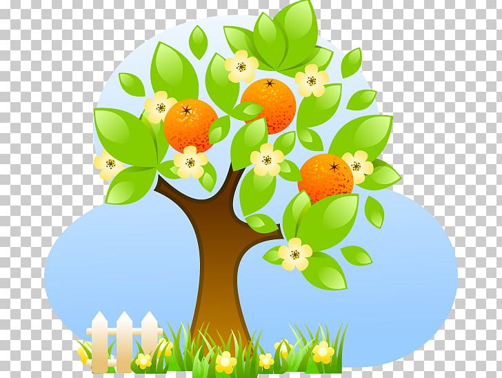 Fruit Tree Citrus Material PNG, Clipart, Branch, Citrus, Citrus Canker, Citrus Greening Disease, Computer Wallpaper Free PNG Download