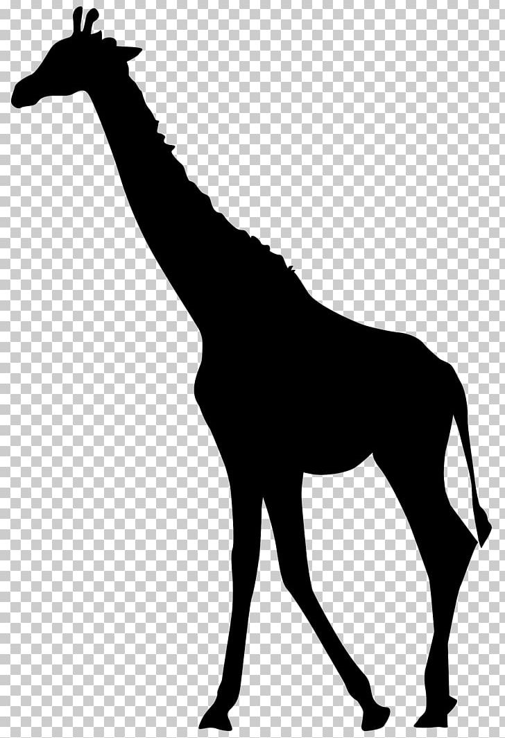 Giraffe Scalable Graphics PNG, Clipart, Animation, Black And White, Clipart, Computer Icons, Giraffe Free PNG Download