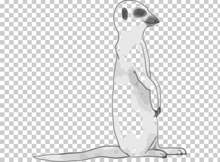 Meerkat Line Art PNG, Clipart, Animal Figure, Beak, Bird, Black And White, Canidae Free PNG Download