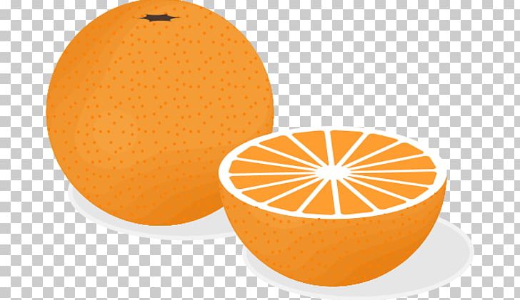 Orange Juice Fruit Salad PNG, Clipart, Apple, Circle, Citrus, Citrus Xd7 Sinensis, Food Free PNG Download