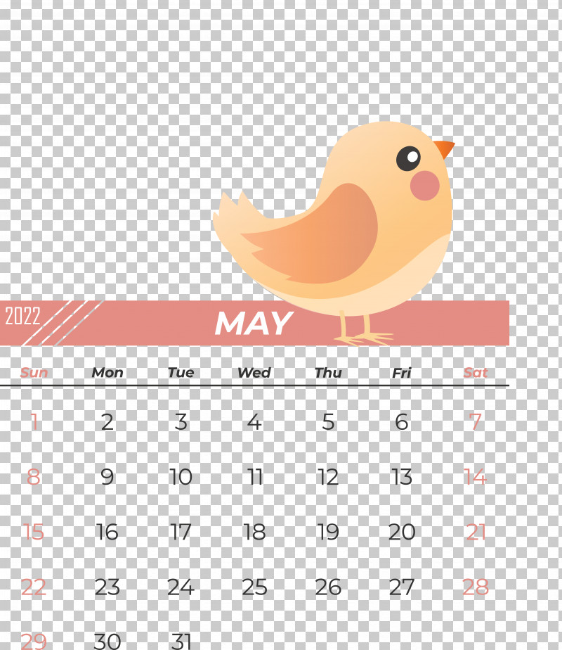 Birds Beak Calendar Meter Science PNG, Clipart, Beak, Biology, Birds, Calendar, Meter Free PNG Download