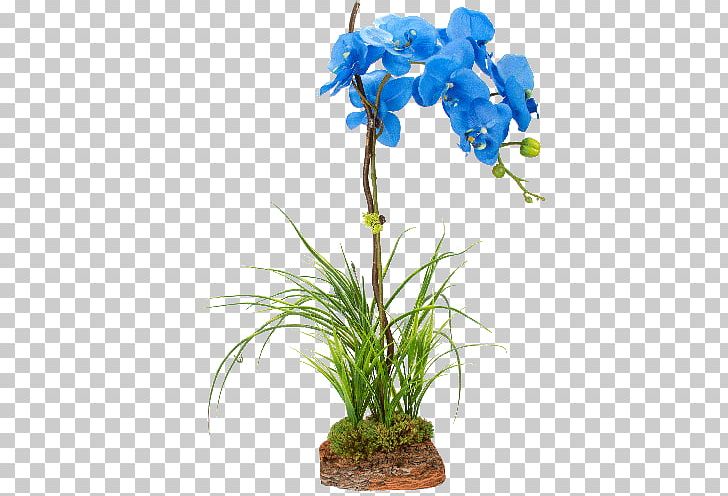 Flower Plant Stem Moth Orchids PNG, Clipart, Aquarium Decor, Artificial Flower, Blue, Boat Orchid, Cut Flowers Free PNG Download