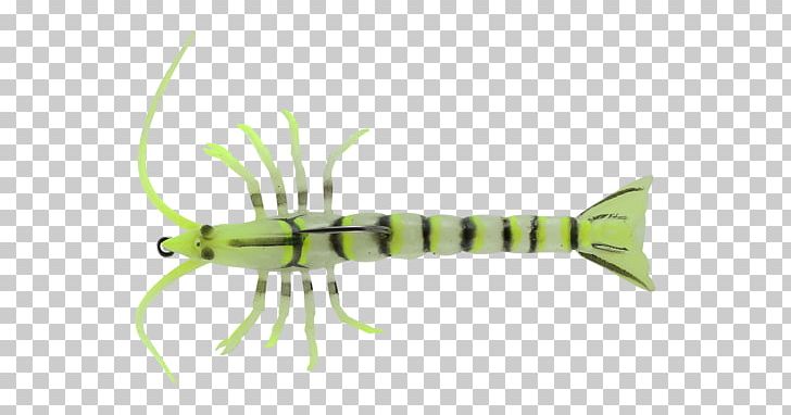Shrimp Fishing Baits & Lures Insect PNG, Clipart, Animals, Architectural Engineering, Fish, Fishing Bait, Fishing Baits Lures Free PNG Download