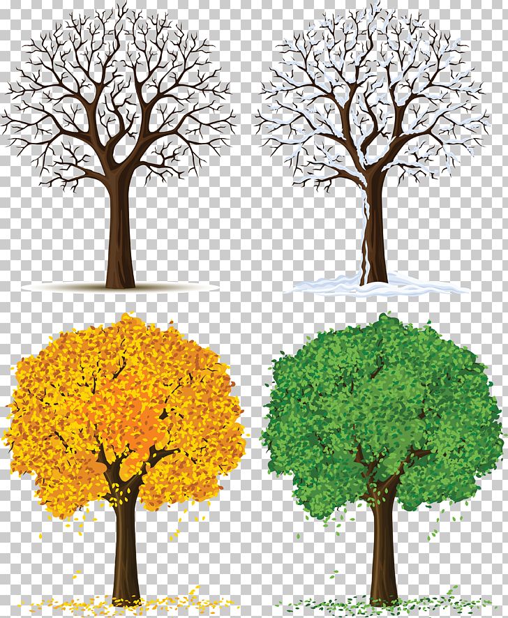Tree Euclidean Illustration PNG, Clipart, Autumn, Branch, Clipart, Computer Icons, Euclidean Vector Free PNG Download