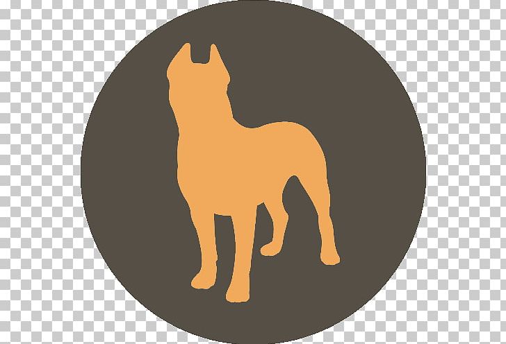 Cat Dog Lion Tapetum Lucidum Computer Icons PNG, Clipart, Animal, Animals, Big Cat, Big Cats, Canidae Free PNG Download