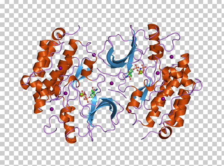 Epidermal Growth Factor Receptor ErbB PNG, Clipart, Art, Cetuximab, Complex, Domain, Epidermal Growth Factor Free PNG Download