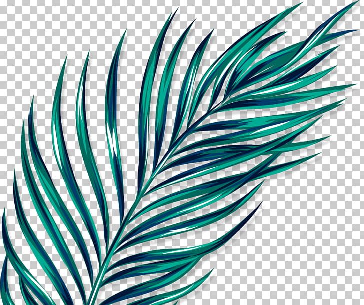Leaf Line Turquoise PNG, Clipart, Feather, Instagram, Leaf, Line, Plant Free PNG Download