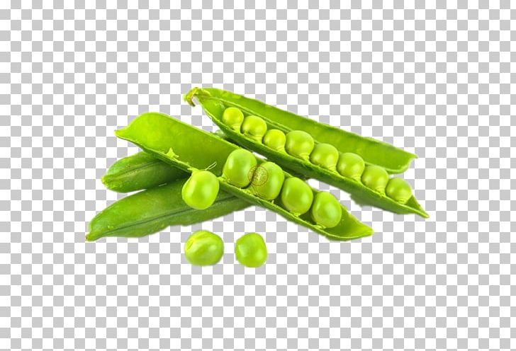 Snap Pea Snow Pea Pigeon Pea Dal Vegetable PNG, Clipart, Bean, Commodity, Dal, Desktop Wallpaper, Edamame Free PNG Download