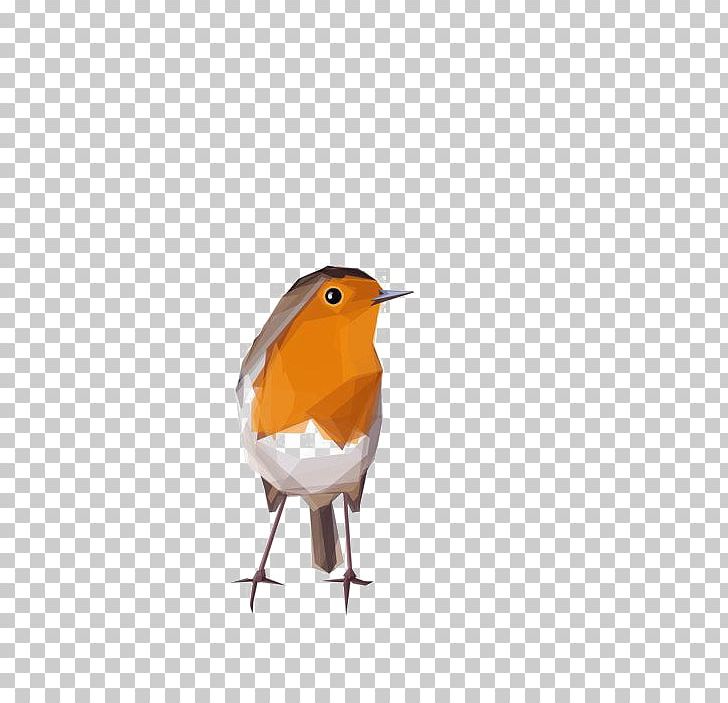 Bird Geometry Illustration PNG, Clipart, Animal, Animals, Art, Beak, Birds Free PNG Download