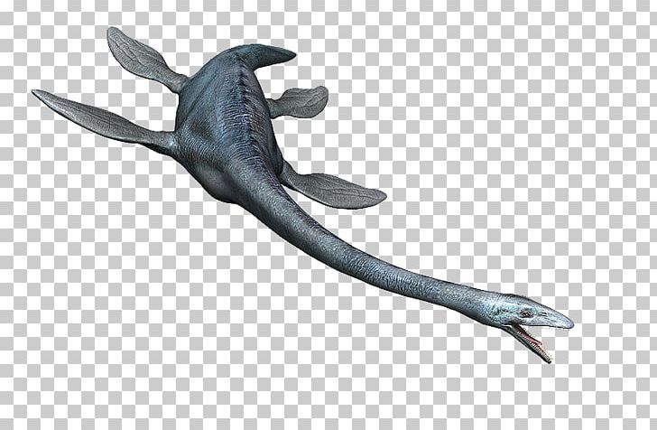 Elasmosaurus Amazonsaurus Antarctosaurus Plesiosauria Dinosaur PNG, Clipart, Amazonsaurus, Animal, Animal Figure, Antarctosaurus, Aquatic Animal Free PNG Download