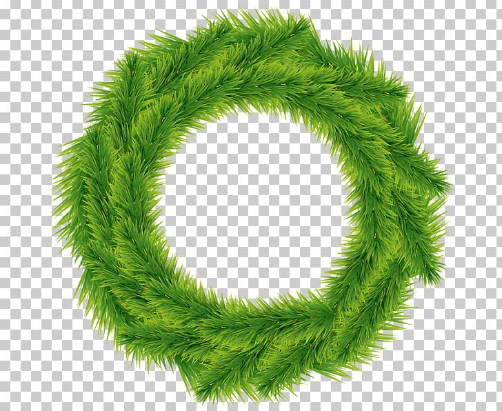 Fir Tree Green Pine Wreath PNG, Clipart, Family, Fir, Grass, Green, Nature Free PNG Download