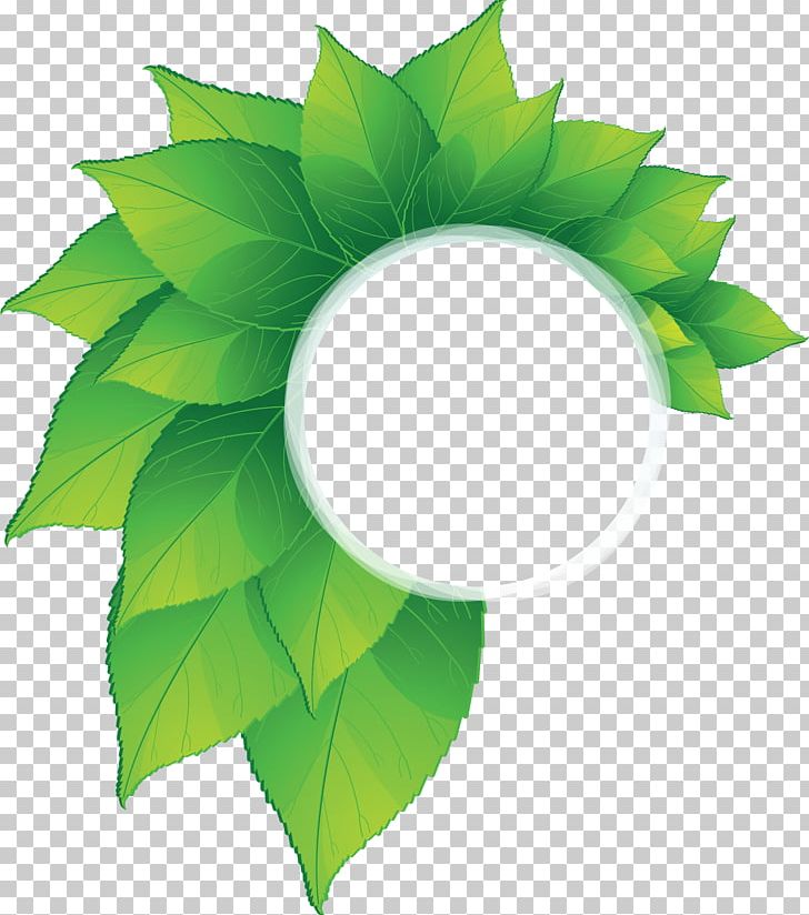 Leaf Encapsulated PostScript PNG, Clipart, Border Frames, Circle, Encapsulated Postscript, Grass, Green Free PNG Download