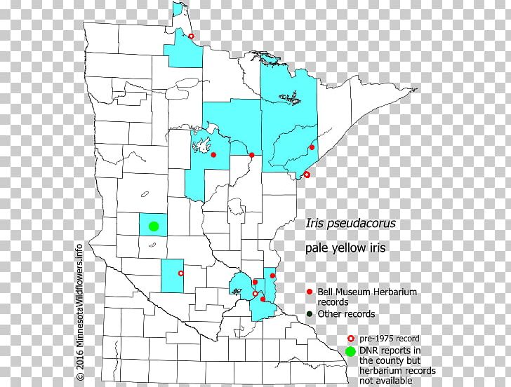 Map Line Land Lot Point Tuberculosis PNG, Clipart, Area, Diagram, Iris Pseudacorus, Land Lot, Line Free PNG Download