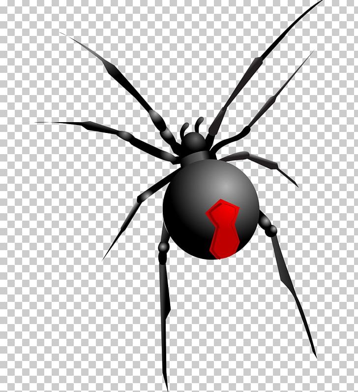 Spider Halloween PNG, Clipart, Arachnid, Arthropod, Background Black, Black, Black Background Free PNG Download