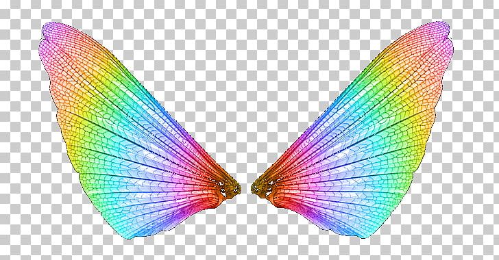 Butterfly Light Color PNG, Clipart, Ail, Asa, Brush, Butterfly, Color Free PNG Download