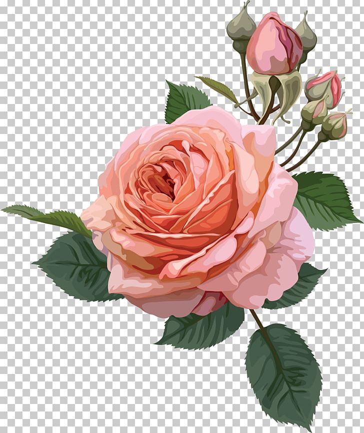 Flower Rose Desktop PNG, Clipart, Botanical Illustration, Cut Flowers, Desktop Wallpaper, Floral Design, Floribunda Free PNG Download