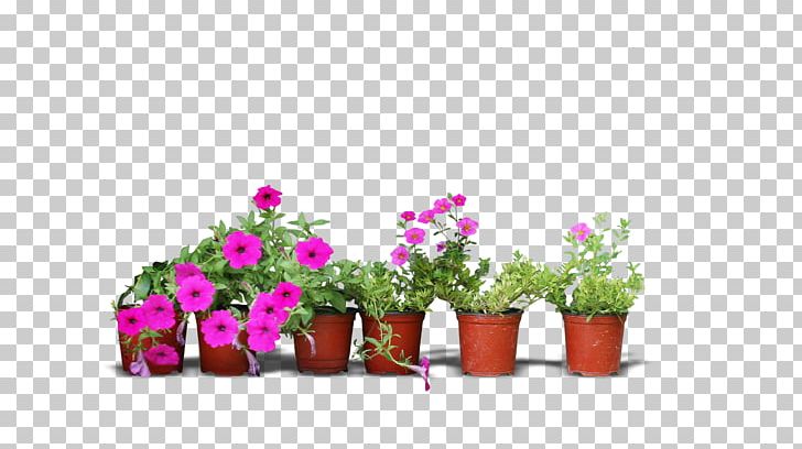 Real Flower Pots PNG, Clipart, Artificial Flower, Crock, Cut Flowers, Flower, Flower Arranging Free PNG Download