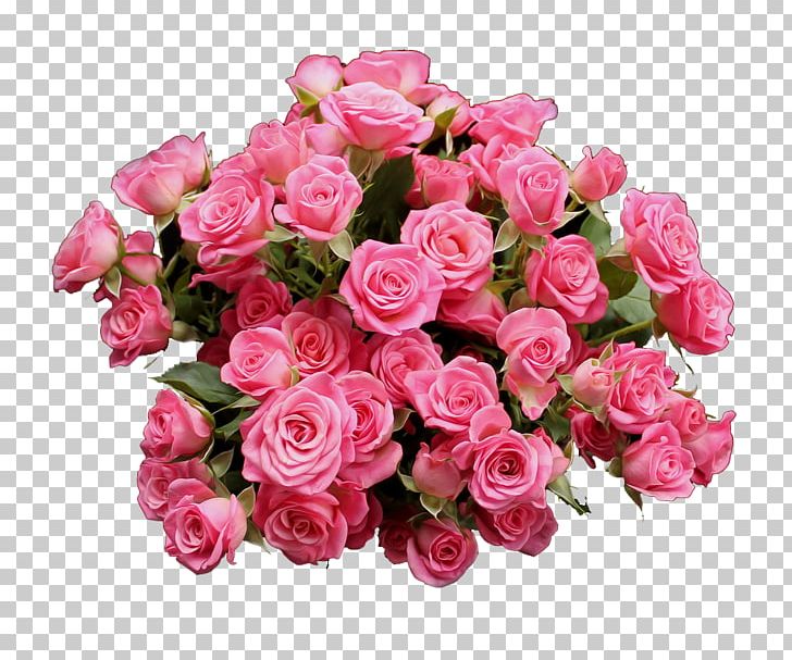 Pink Roses PNG, Clipart, Artificial Flower, Bouquet, Color, Floral Design, Floribunda Free PNG Download