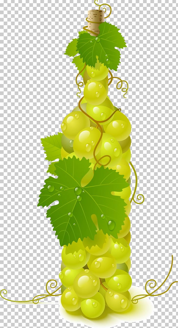 Wine Common Grape Vine PNG, Clipart, Alcohol, Bottle, Encapsulated Postscript, Euclidean Vector, Flower Pattern Free PNG Download