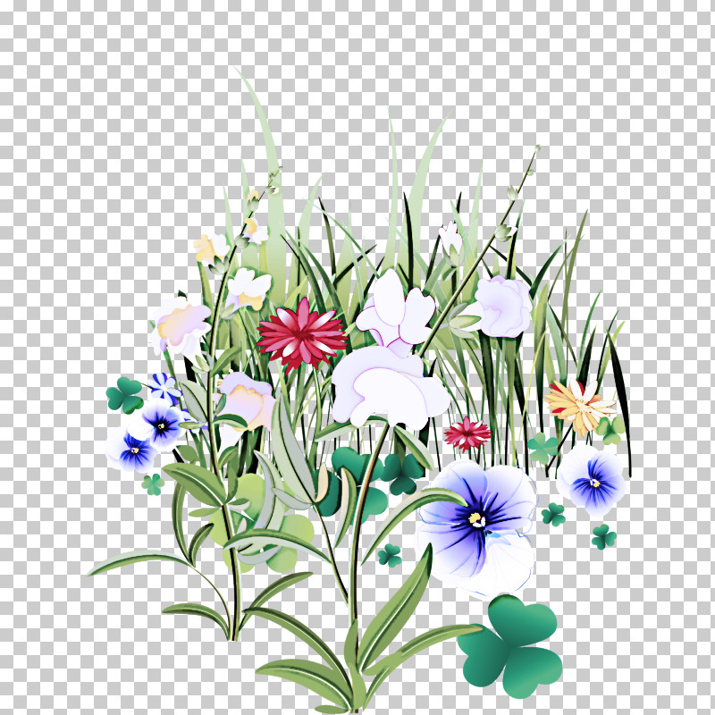 Flower Plant Wildflower Delphinium Iris PNG, Clipart, Delphinium, Flower, Herbaceous Plant, Iris, Ixia Free PNG Download