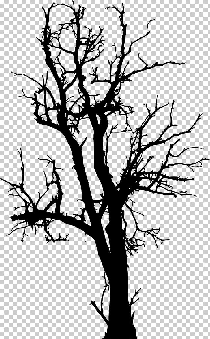 Tree Branch Woody Plant Twig PNG, Clipart, Black And White, Branch, Dead Tree, Flora, Flower Free PNG Download