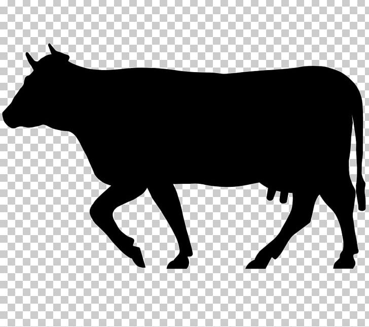 Beef Cattle Holstein Friesian Cattle Jersey Cattle Highland Cattle Ox PNG, Clipart, Animals, Beef Cattle, Black And White, Bull, Cattle Like Mammal Free PNG Download